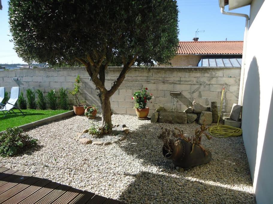 House with pool CASA DA FAIA - AVEIRO (Estarreja) Avanca Exterior foto